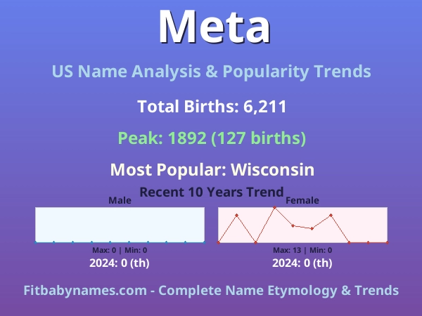 Infographic: Meta name meaning, origin, and popularity trends in the United States (US baby name analysis chart)
