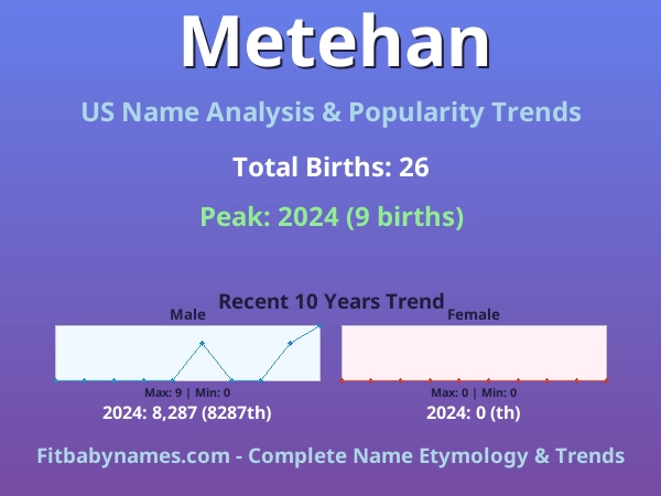 Infographic: Metehan name meaning, origin, and popularity trends in the United States (US baby name analysis chart)