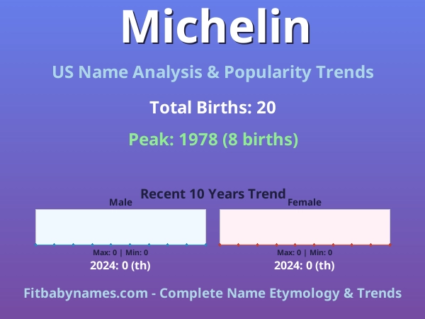 Infographic: Michelin name meaning, origin, and popularity trends in the United States (US baby name analysis chart)