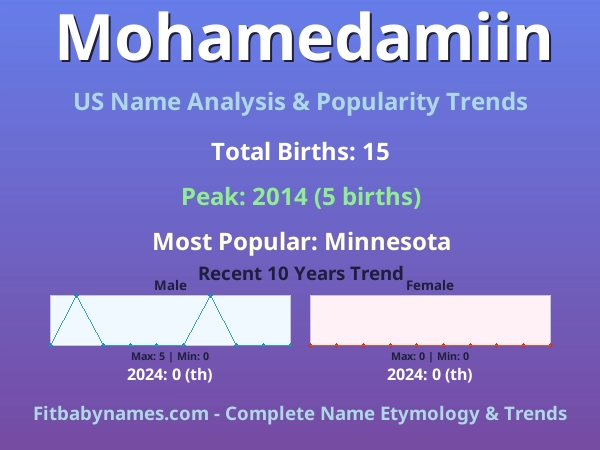 Infographic: Mohamedamiin name meaning, origin, and popularity trends in the United States (US baby name analysis chart)