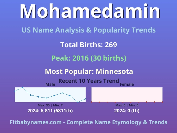Infographic: Mohamedamin name meaning, origin, and popularity trends in the United States (US baby name analysis chart)