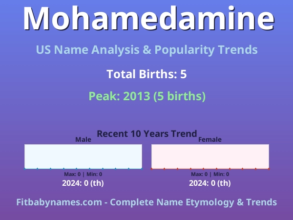 Infographic: Mohamedamine name meaning, origin, and popularity trends in the United States (US baby name analysis chart)