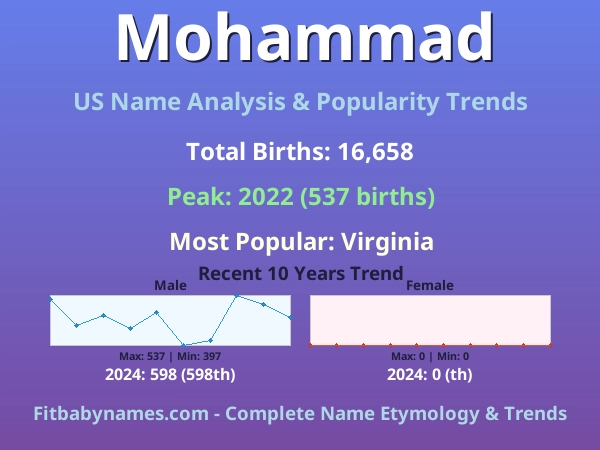Infographic: Mohammad name meaning, origin, and popularity trends in the United States (US baby name analysis chart)