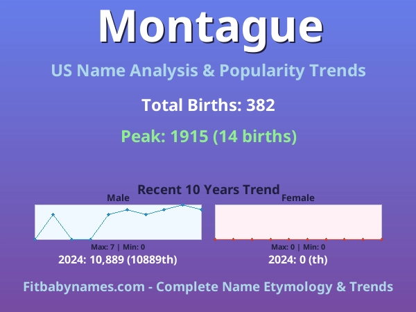 Infographic: Montague name meaning, origin, and popularity trends in the United States (US baby name analysis chart)