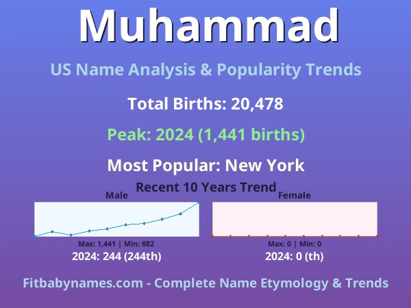 Infographic: Muhammad name meaning, origin, and popularity trends in the United States (US baby name analysis chart)