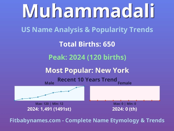 Infographic: Muhammadali name meaning, origin, and popularity trends in the United States (US baby name analysis chart)
