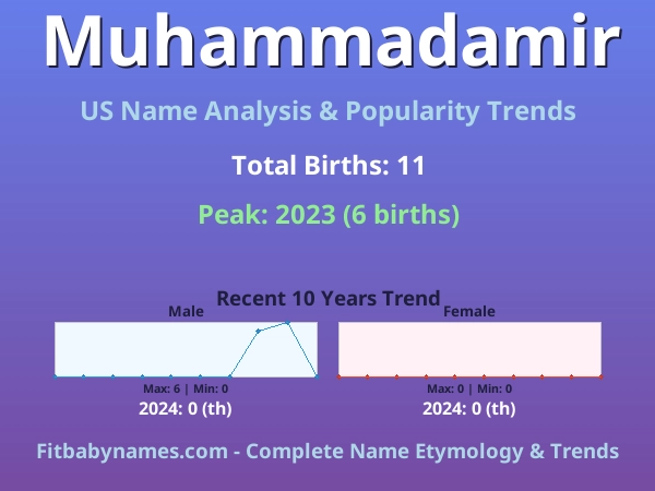Infographic: Muhammadamir name meaning, origin, and popularity trends in the United States (US baby name analysis chart)
