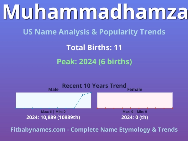 Infographic: Muhammadhamza name meaning, origin, and popularity trends in the United States (US baby name analysis chart)