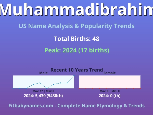 Infographic: Muhammadibrahim name meaning, origin, and popularity trends in the United States (US baby name analysis chart)