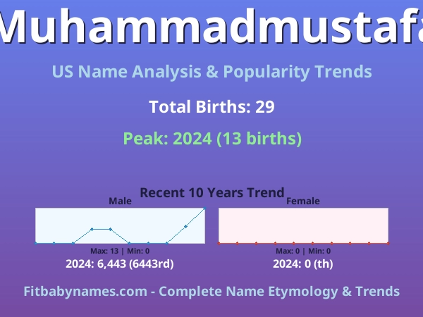 Infographic: Muhammadmustafa name meaning, origin, and popularity trends in the United States (US baby name analysis chart)
