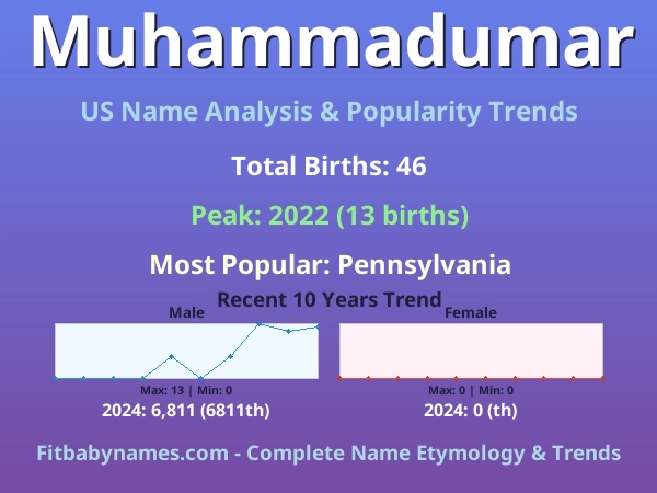 Infographic: Muhammadumar name meaning, origin, and popularity trends in the United States (US baby name analysis chart)