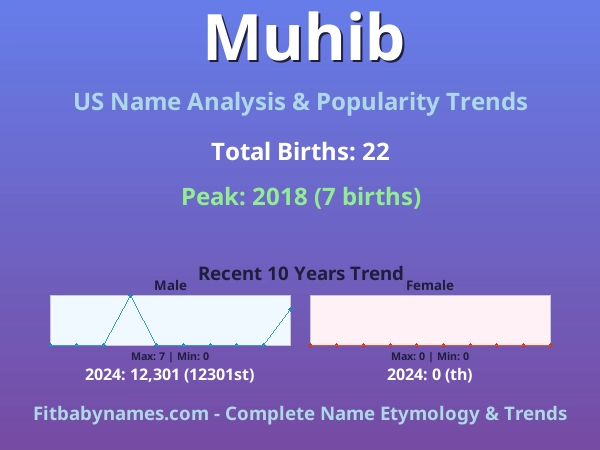 Infographic: Muhib name meaning, origin, and popularity trends in the United States (US baby name analysis chart)