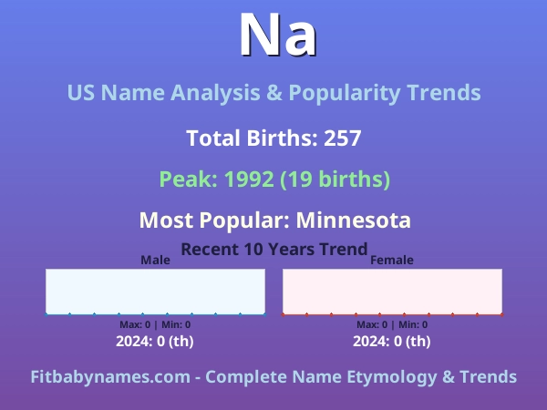 Infographic: Na name meaning, origin, and popularity trends in the United States (US baby name analysis chart)