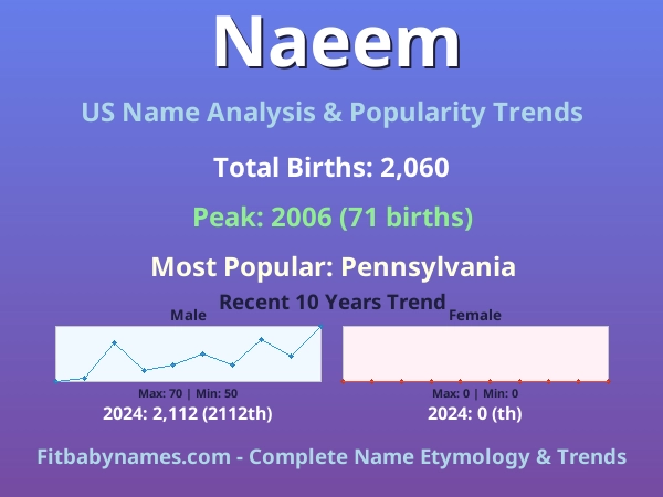 Infographic: Naeem name meaning, origin, and popularity trends in the United States (US baby name analysis chart)