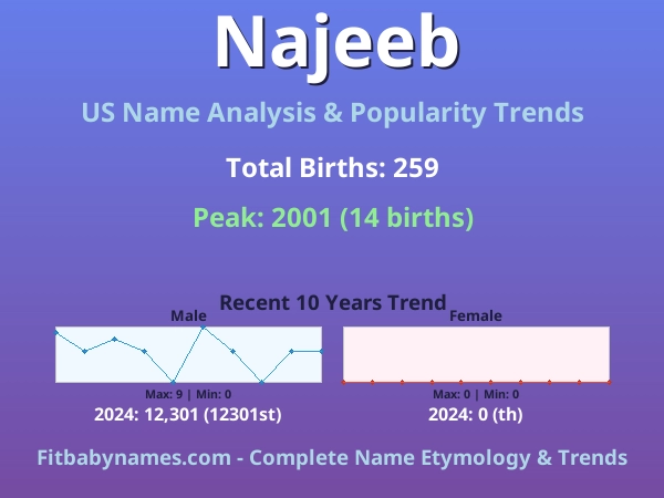 Infographic: Najeeb name meaning, origin, and popularity trends in the United States (US baby name analysis chart)