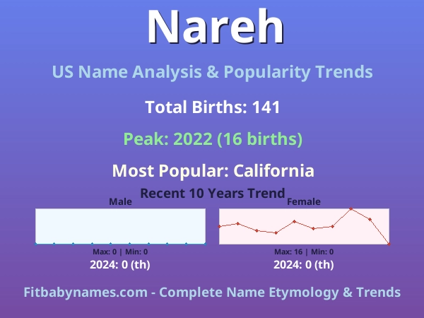 Infographic: Nareh name meaning, origin, and popularity trends in the United States (US baby name analysis chart)