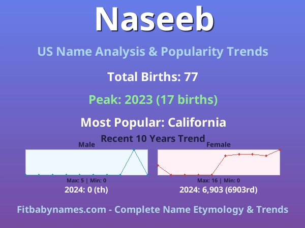 Infographic: Naseeb name meaning, origin, and popularity trends in the United States (US baby name analysis chart)