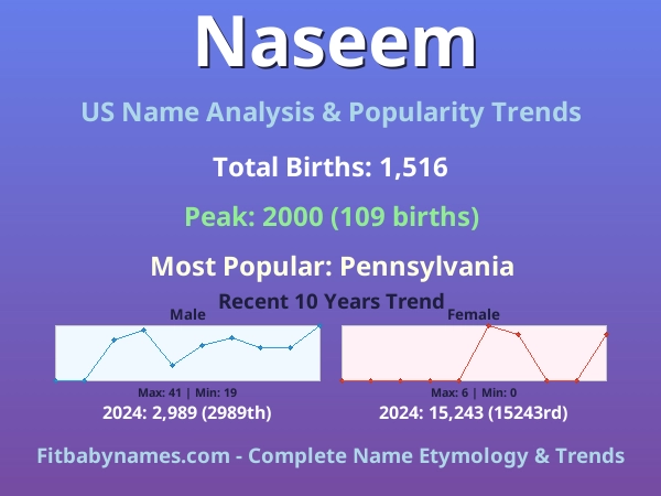 Infographic: Naseem name meaning, origin, and popularity trends in the United States (US baby name analysis chart)