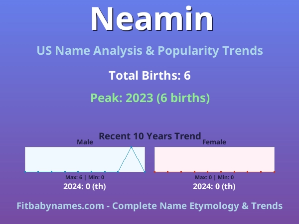 Infographic: Neamin name meaning, origin, and popularity trends in the United States (US baby name analysis chart)