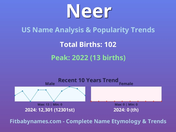 Infographic: Neer name meaning, origin, and popularity trends in the United States (US baby name analysis chart)