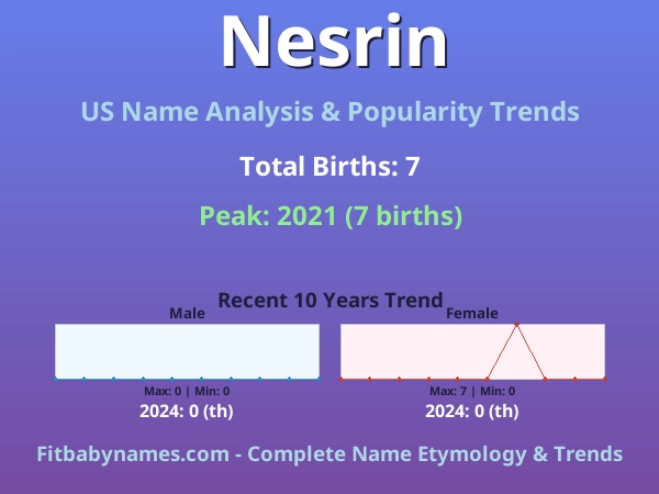 Infographic: Nesrin name meaning, origin, and popularity trends in the United States (US baby name analysis chart)