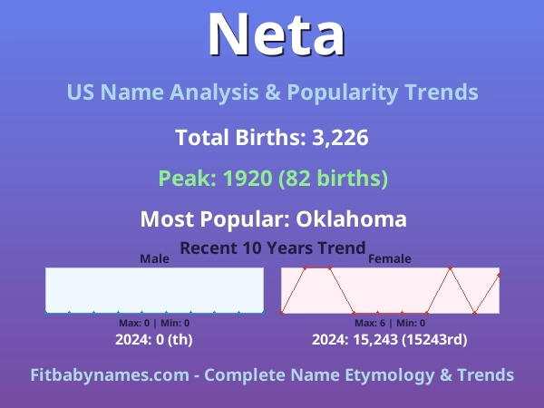 Infographic: Neta name meaning, origin, and popularity trends in the United States (US baby name analysis chart)
