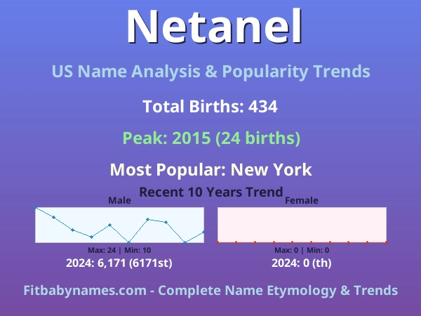Infographic: Netanel name meaning, origin, and popularity trends in the United States (US baby name analysis chart)