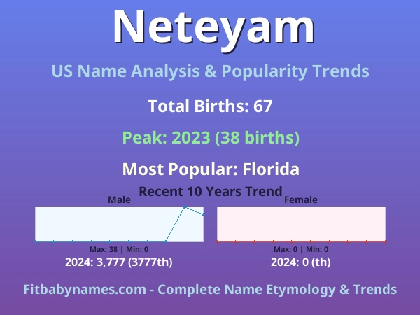Infographic: Neteyam name meaning, origin, and popularity trends in the United States (US baby name analysis chart)