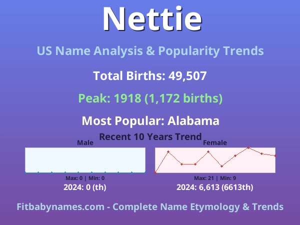 Infographic: Nettie name meaning, origin, and popularity trends in the United States (US baby name analysis chart)