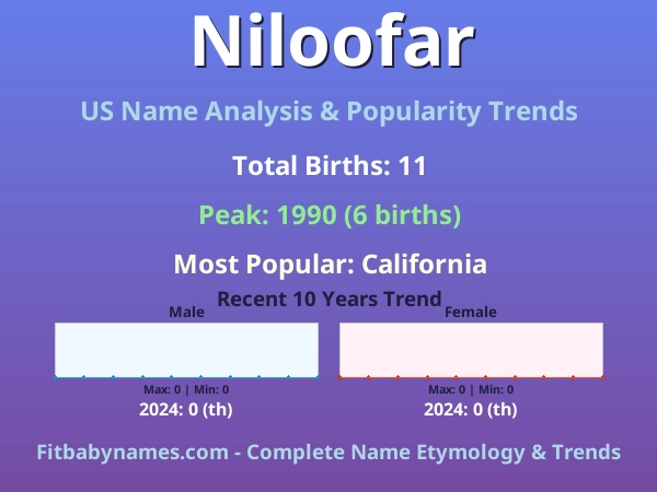 Infographic: Niloofar name meaning, origin, and popularity trends in the United States (US baby name analysis chart)