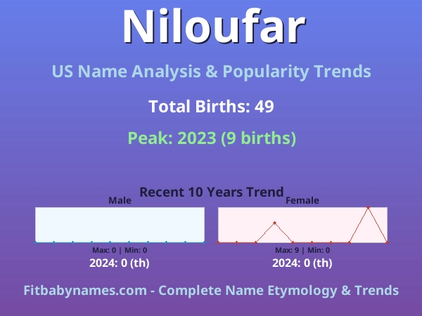 Infographic: Niloufar name meaning, origin, and popularity trends in the United States (US baby name analysis chart)