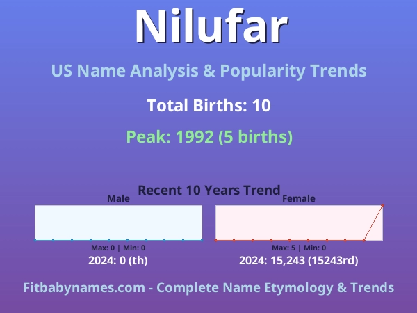 Infographic: Nilufar name meaning, origin, and popularity trends in the United States (US baby name analysis chart)
