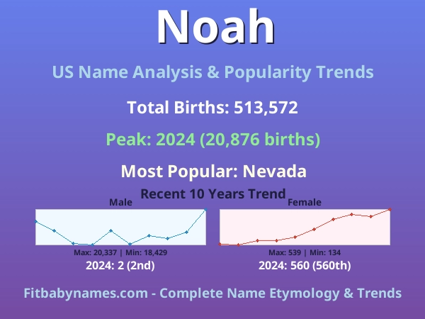 Infographic: Noah name meaning, origin, and popularity trends in the United States (US baby name analysis chart)