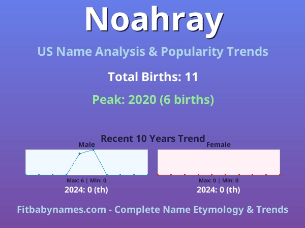 Infographic: Noahray name meaning, origin, and popularity trends in the United States (US baby name analysis chart)