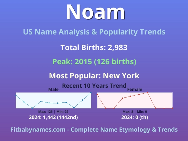 Infographic: Noam name meaning, origin, and popularity trends in the United States (US baby name analysis chart)