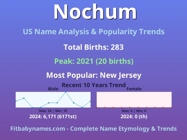 Infographic: Nochum name meaning, origin, and popularity trends in the United States (US baby name analysis chart)