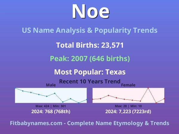 Infographic: Noe name meaning, origin, and popularity trends in the United States (US baby name analysis chart)