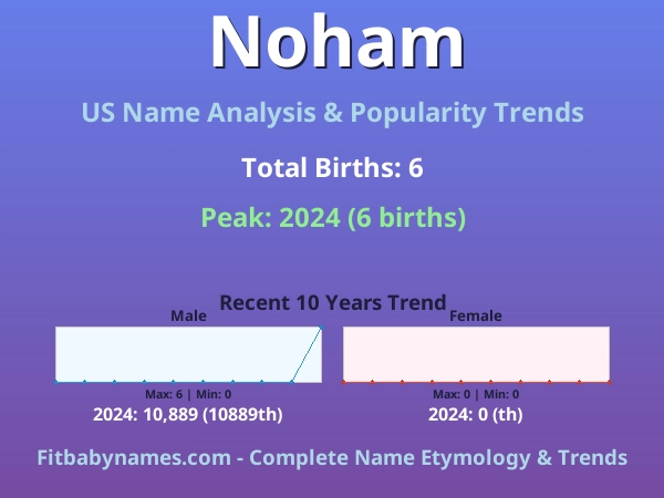 Infographic: Noham name meaning, origin, and popularity trends in the United States (US baby name analysis chart)