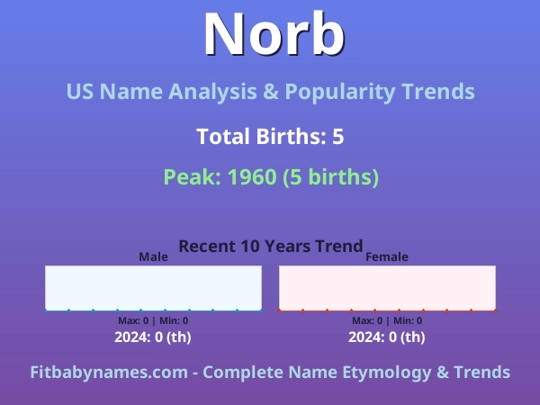 Infographic: Norb name meaning, origin, and popularity trends in the United States (US baby name analysis chart)