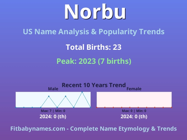 Infographic: Norbu name meaning, origin, and popularity trends in the United States (US baby name analysis chart)