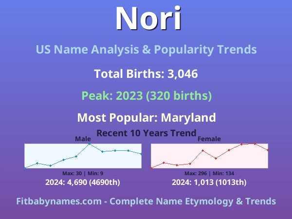 Infographic: Nori name meaning, origin, and popularity trends in the United States (US baby name analysis chart)