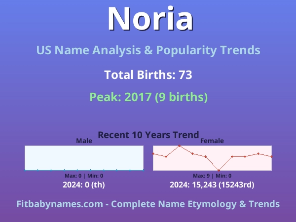 Infographic: Noria name meaning, origin, and popularity trends in the United States (US baby name analysis chart)