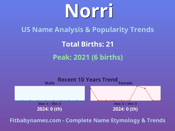 Infographic: Norri name meaning, origin, and popularity trends in the United States (US baby name analysis chart)