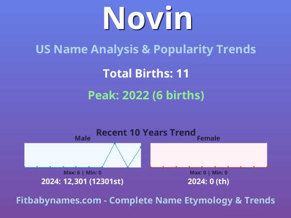 Infographic: Novin name meaning, origin, and popularity trends in the United States (US baby name analysis chart)
