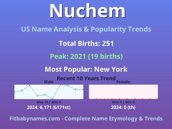 Infographic: Nuchem name meaning, origin, and popularity trends in the United States (US baby name analysis chart)