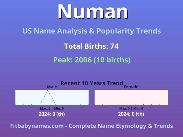 Infographic: Numan name meaning, origin, and popularity trends in the United States (US baby name analysis chart)