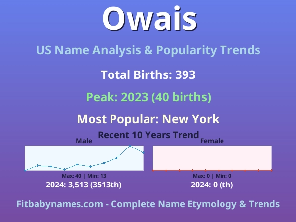 Infographic: Owais name meaning, origin, and popularity trends in the United States (US baby name analysis chart)