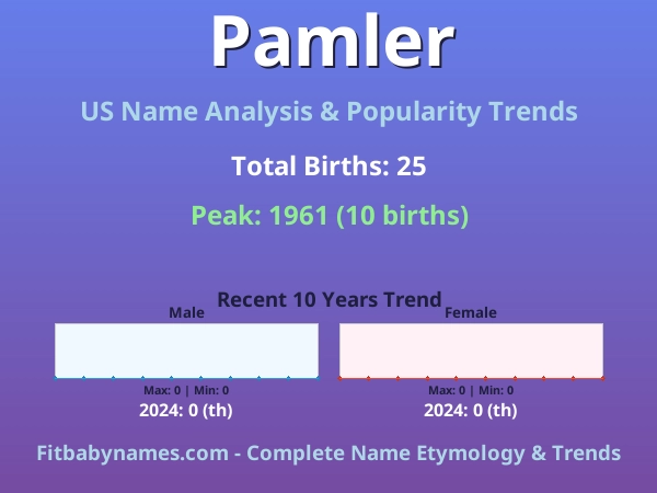 Infographic: Pamler name meaning, origin, and popularity trends in the United States (US baby name analysis chart)
