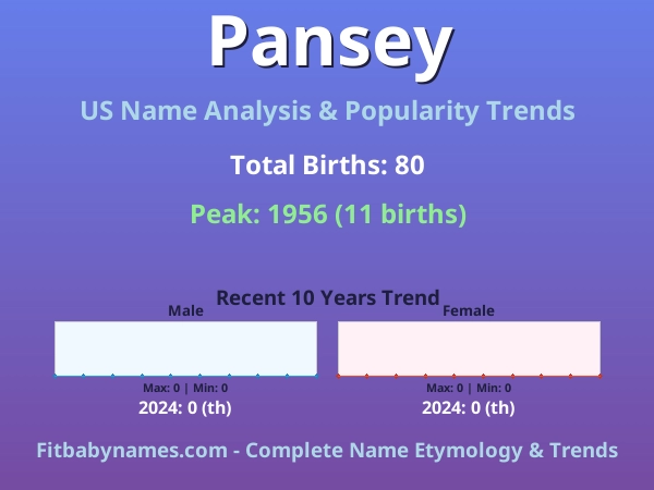 Infographic: Pansey name meaning, origin, and popularity trends in the United States (US baby name analysis chart)