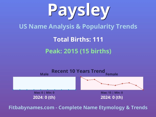 Infographic: Paysley name meaning, origin, and popularity trends in the United States (US baby name analysis chart)